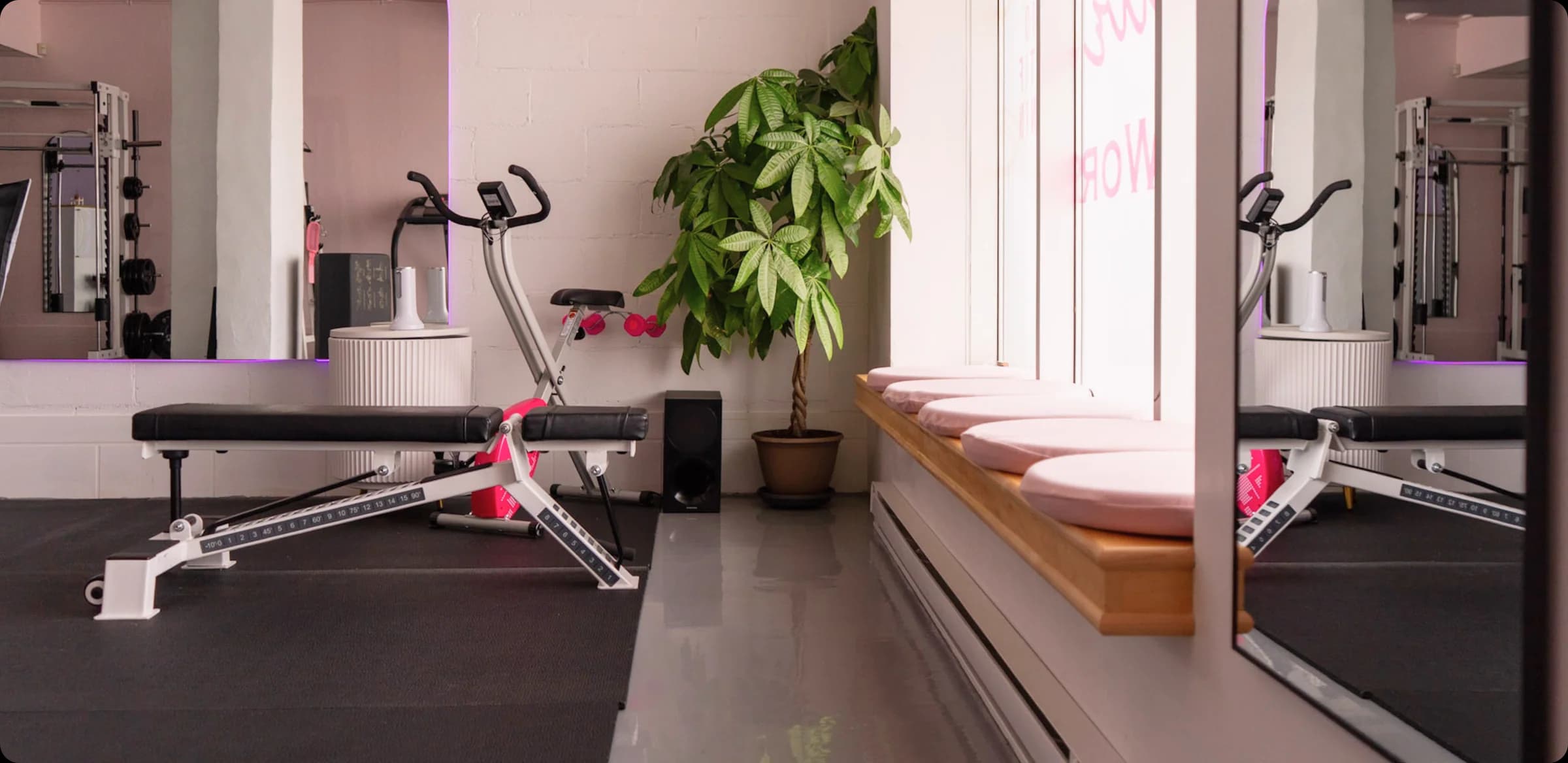 Curve World gym facility with equipment and plants